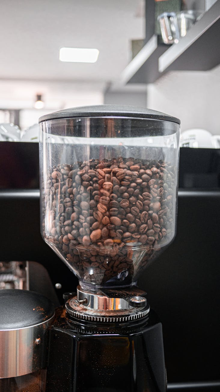 coffee beans in a container